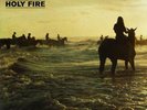 Foals ?– Holy Fire - Vinyl LP