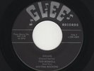 SMOKIN' Rockabilly Gtr Instros TED RUSSELL/RHYTHM ROCKERS Brang/Real Cool HEAR