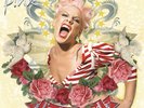 P NK 