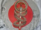 Toto, 12” uncut Pic Disc.