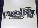 THE PRODIGY - Experience - 2LP NEW & SEALED