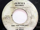LIL GRAY-ARE YOU FOOLING/I WANT TO TELL ON JERMA NORTHERN 45-HEAR