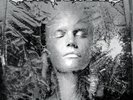 Sentenced - Frozen LP #105412