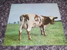 PINK FLOYD ATOM HEART MOTHER HARVEST RECORDS SHVL 781 GATEFOLD SLEEVE NEAR MINT