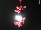 LP  Depeche Mode - Violator  (Stumm 64)