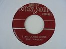 THE WAILERS Going Home COXSONE Ska 7