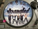 The Stranglers - New Day Today  12