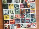 PEARL JAM NO CODE VINYL LP RECORD signed in person BY ALL BAND MEMBERS