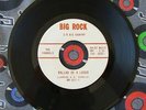 RARE '66 GARAGE 45 THE VANDALS Big Rock #511 