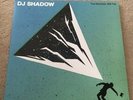 DJ Shadow 'The Mountain Will Fall Vinyl' (Double Vinyl - NEW/SEALED)