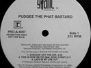 PUDGEE THA PHAT BASTARD GIVE EM THE FINGER SAMPLER JAPANESE PRESSING KOOL G RAP