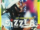 Ain't Gonna See Us Fall [12 inch Analog] Sizzla LP Record