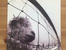 Pearl Jam - VS - Original 1st Pressing Vinyl/Grunge/90's Classic - Epic - VG++