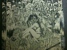 Septic Death ?– Now That I Have The Attention What Do I Do With It? - Original