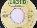 CAROL COLE Ethiopia EARTH BORN BAND Black Man Culture ORCHID DSR 0379 JA 1980 EX