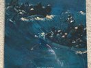 The Avalanches Since i left you 2x12 LP Mint