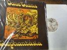 DAVE EVANS Elephantasia  1972 VILLAGE THING UK LP VTS 14  RARE FOLK