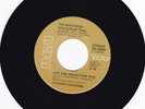 RARE NORTHERN SOUL ORIGINAL THE BROTHERS ARE YOU READY FOR THIS