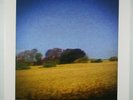 SUN KIL MOON Benji DOUBLE VINYL ALBUM/2014 Caldo Verde/Vinyl Films