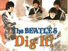 THE BEATLES - Dig It   - Nems Records - Rare LP - 1987 - Excellent Condition