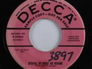Rockabilly 45 ROY DUKE Behave, Be Quiet, Or Begone DECCA promo HEAR