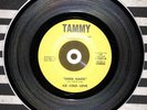 Ice Cold Love - Sheer Magic / Wonderful To Be Loved Rare Soul 45 Rpm Tammy