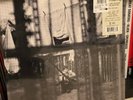 Paul McCartney - Chaos And Creation In The Backyard [New Vinyl LP] 180 Gram