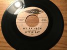 RARE DOO WOP 45 LITTLE RAY MY RAINBOW / THERE'S SOMETHING ON YOUR MIND DORE 590