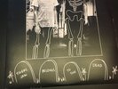 Tigers Jaw Belongs To The Dead vinyl (Black) w/ insert