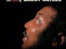 MUDDY WATERS: BEST OF (LP vinyl *BRAND NEW*.)