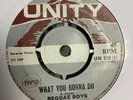 Reggae Boys - What you gonna do  // ROCKSTEADY // SKINHEAD REGGAE