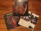 Rhinoceros - S/T Satin Chickens Better Times Are Coming 68-70 Elektra Vinyl NM
