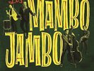 LOS MAMBO JAMBO JAMBOLOGY VINILO