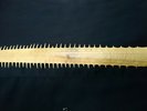 Old sawfish bill from gulf country 26 cm