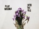 INTO THE IRIS
