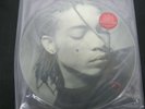 Vinyl Record Album Picture Disc TERENCE TRENT D'ARBY INTRODUCING THE HARDLINE
