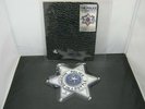 Vinyl Record 12” Picture Disc THE POLICE MESSAGE IN A BOTTLE