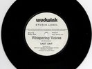 Last Exit/Sting ?– Whispering Voices - Very RARE Debut Of Sting