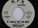Northern Soul 45 SUNNY & THE SUNLINERS If I Could See You Now RPR promo HEAR