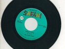 THE PROTEIN BROS 45 RPM  GO FOR IT / SNOW CONE  Psych Prog Rock Funk RARE SAFARI