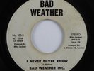 70s Soul 45 BAD WEATHER INC. I Never Never Knew BAD WEATHER HEAR