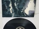 SDI Satans Defloration Incorporated Black Vinyl LP Record new s.d.i.