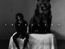 6LACK: FREE 6LACK (LP vinyl *BRAND NEW*)