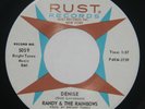 Rare Doo Wop 45, Randy & The Rainbows - Denise / Come Back, Unplayed Copy, HEAR