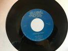 The Hornets I Can't Believe Lonesome Baby 45 Vinyl Record