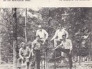 BLUEGRASS 45RPM - CANE CREEK REUNION ON RUM RIVER - RARE   WITH PICTURE SLEEVE