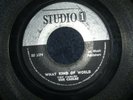 THE  CABLES  -  WHAT KIND OF WORLD  (ROCKSTEADY)  45