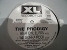 THE PRODIGY - WHAT EVIL LURKS -WE GONNA ROCK-ANDROID-EVERYBODY IN THE PLACE 12