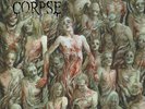 CANNIBAL CORPSE - THE BLEEDING  (180 GR. BLACK VINYL)   VINYL LP NEW