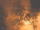 MANDOLIN ORANGE - BLINDFALLER   VINYL LP NEW